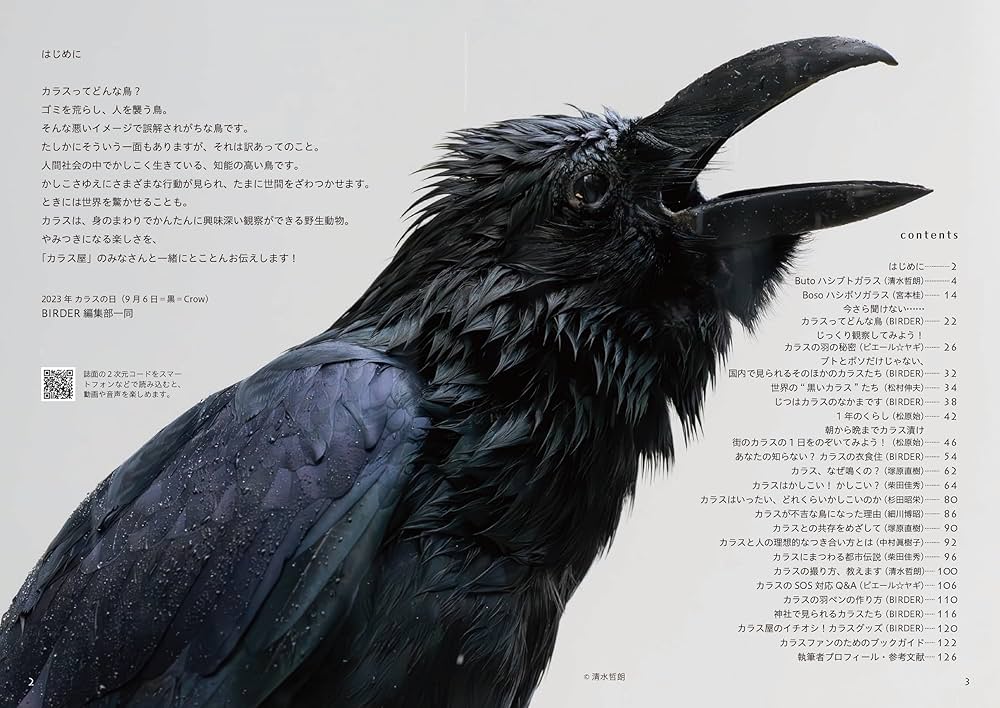 とことんカラス | BIRDER編集部 |本 | 通販 | Amazon
